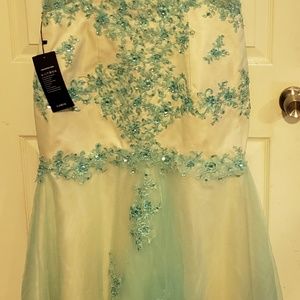 Lorie wedding, or prom dress